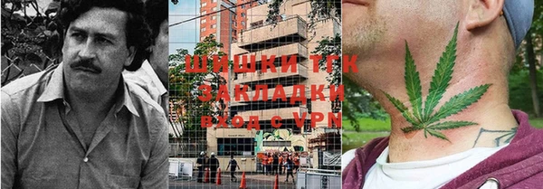 прущий лед Алексин